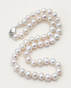 Large pearl necklace of white freshwater pearls on a soft background