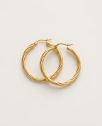 Twisted hoop earrings in gold, 3 mm thick, on a white background